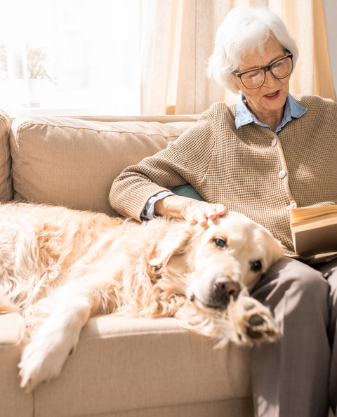 Senior Drops for Dogs - 2 fl.oz. Bottle