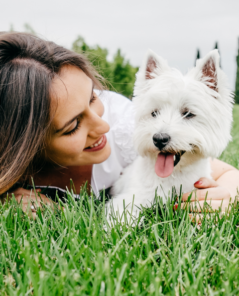 Anti Diarrhea Drops for Dogs - 2 fl.oz. Bottle