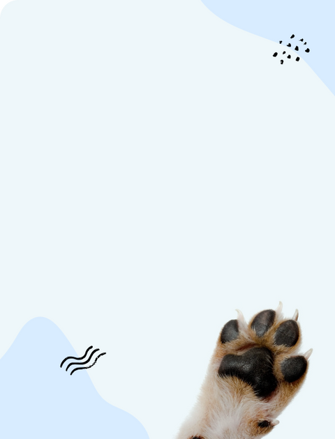 Join the Forever Puppy family