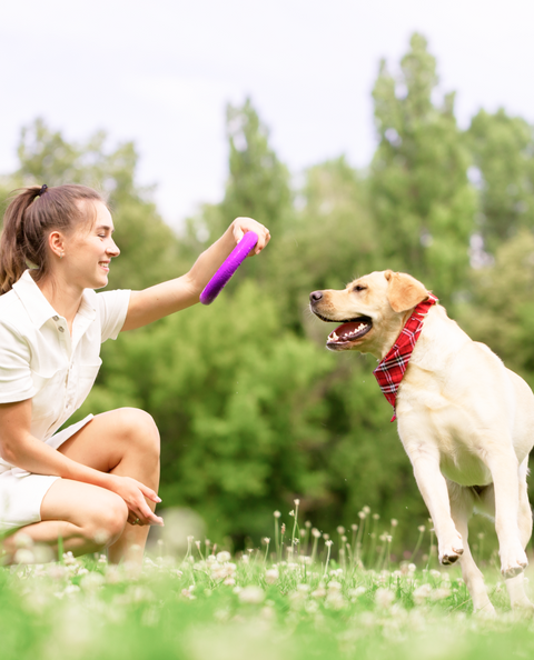 Dandelion Leaf Drops for Dogs - 2 fl.oz. Bottle