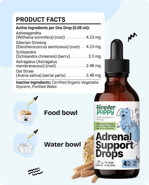 Adrenal Support Drops for Dogs - 4 fl.oz. Bottle