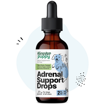 Adrenal Support Drops for Dogs - 2 fl.oz. Bottle
