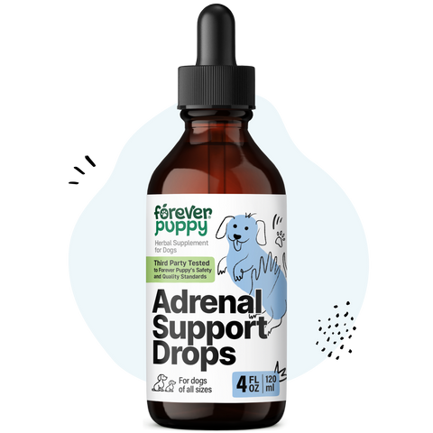 Adrenal Support Drops for Dogs - 4 fl.oz. Bottle
