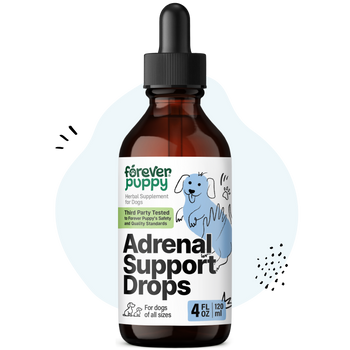 Adrenal Support Drops for Dogs - 4 fl.oz. Bottle