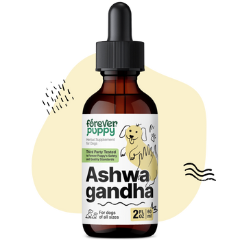 Ashwagandha Drops for Dogs - 2 fl.oz. Bottle
