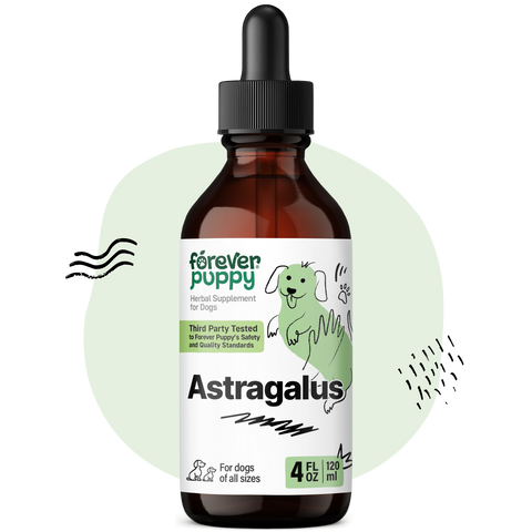 Astragalus Drops for Dogs - 4 fl.oz. Bottle