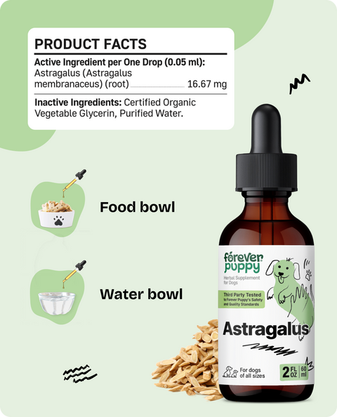 Astragalus Drops for Dogs - 2 fl.oz. Bottle
