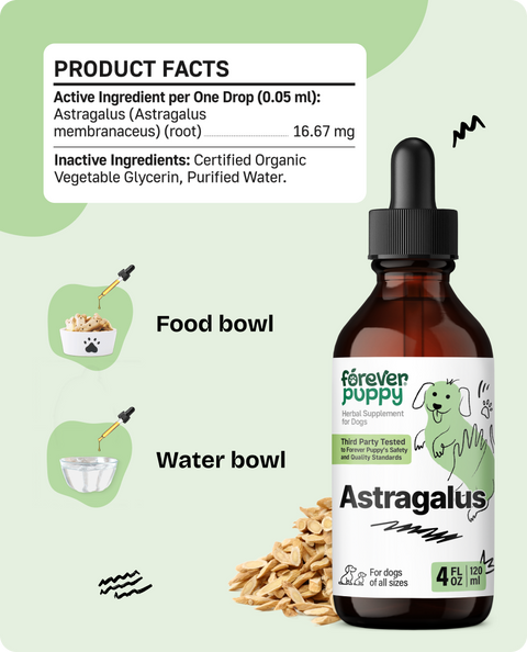 Astragalus Drops for Dogs - 4 fl.oz. Bottle