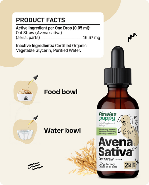 Avena Sativa Drops for Dogs - 2 fl.oz. Bottle