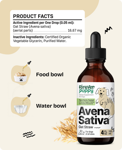 Avena Sativa Drops for Dogs - 4 fl.oz. Bottle