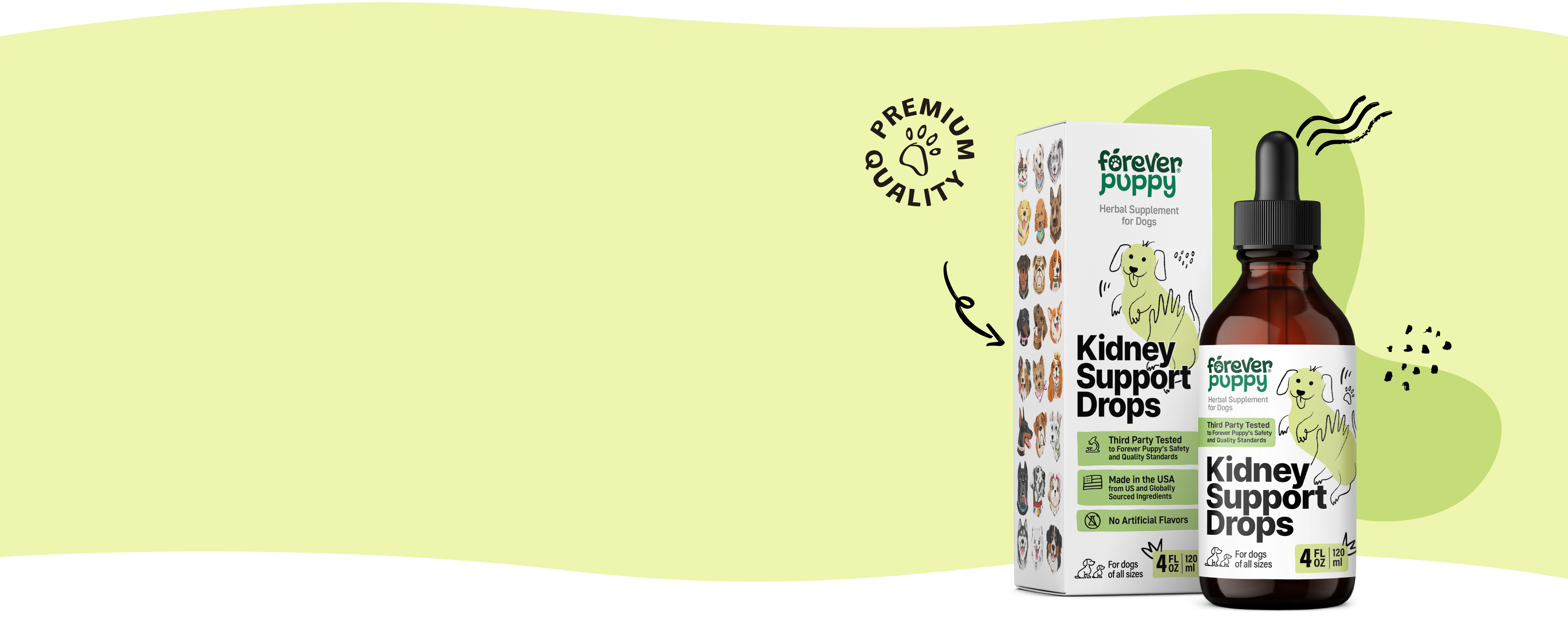 Keep your dog’s kidneys healthy