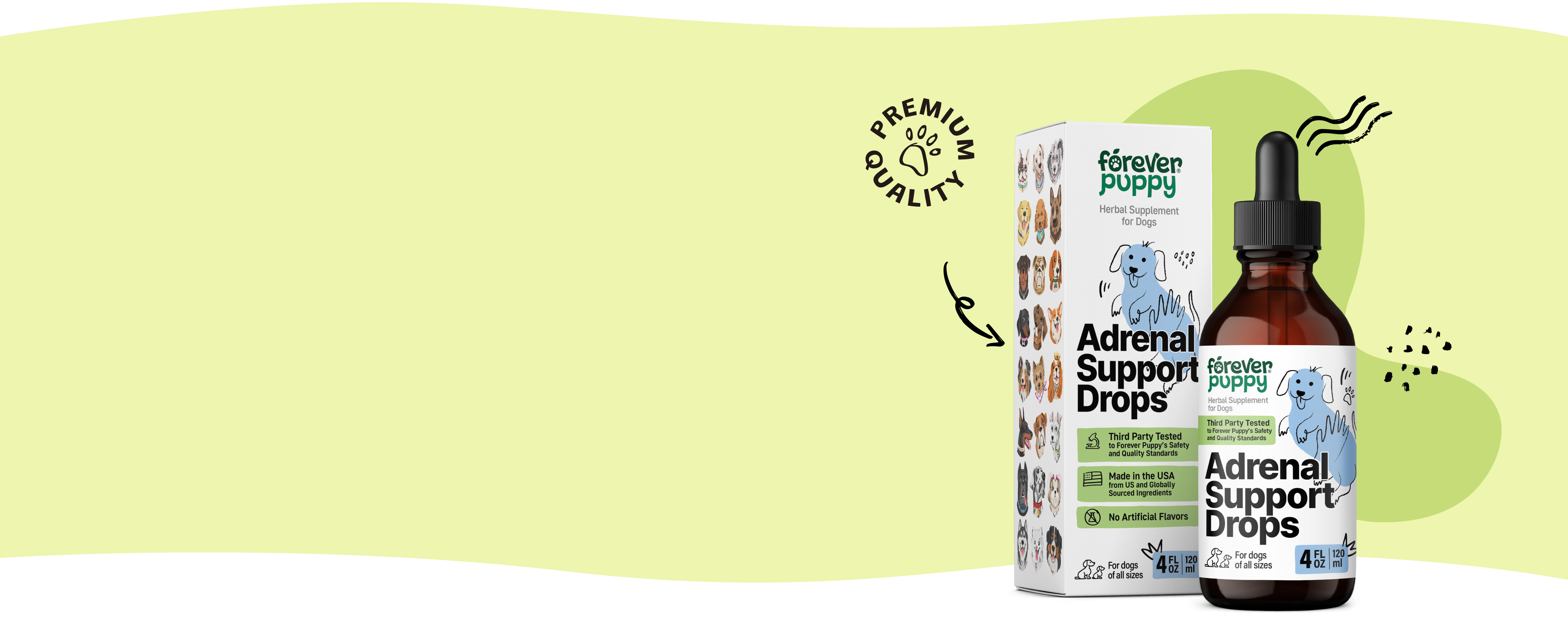 Make your pup happy and energized