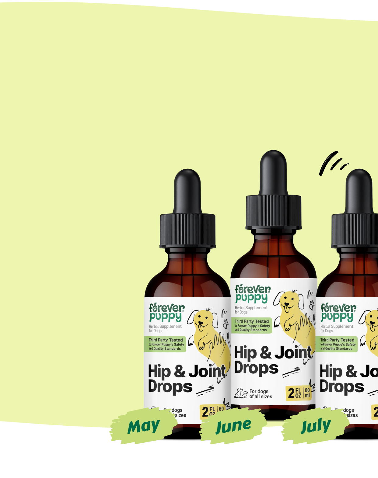 Start a Subscription, Get 15% Off