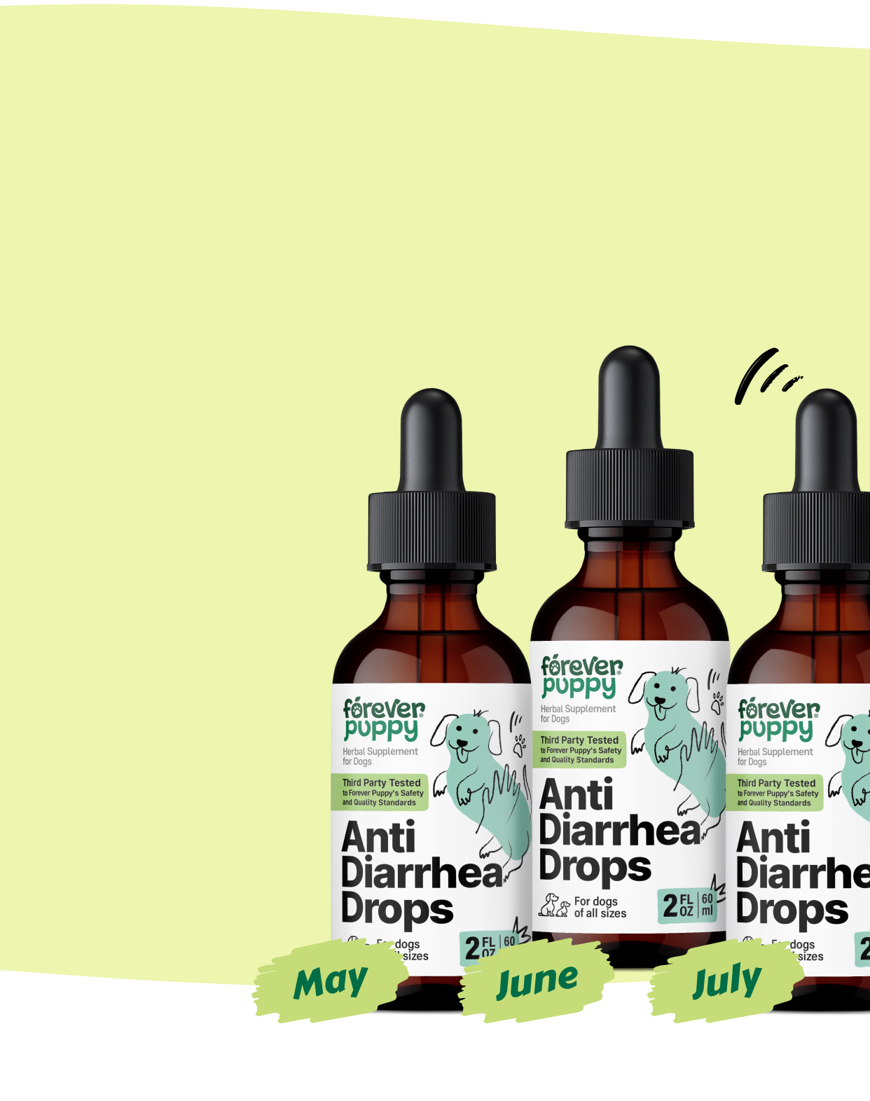 Start a Subscription, Get  15% Off