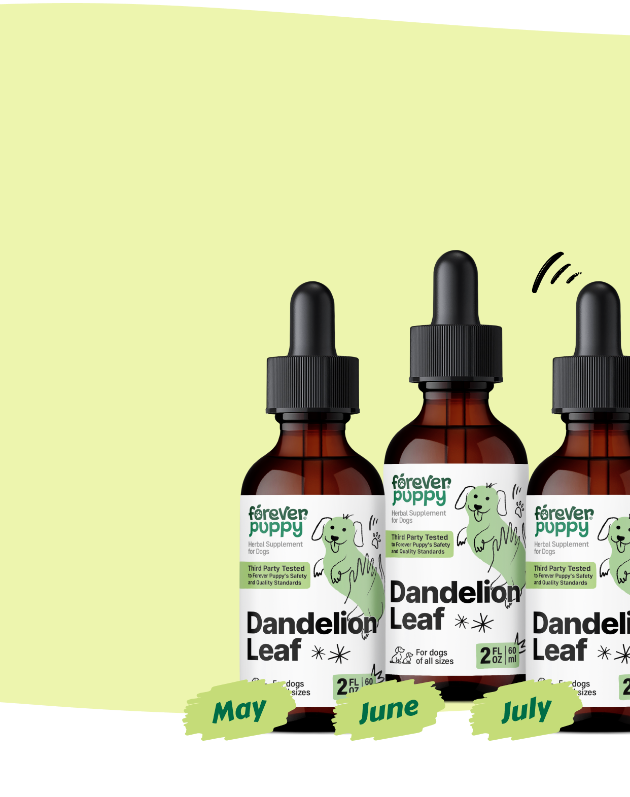 Start a Subscription, Get 15% Off