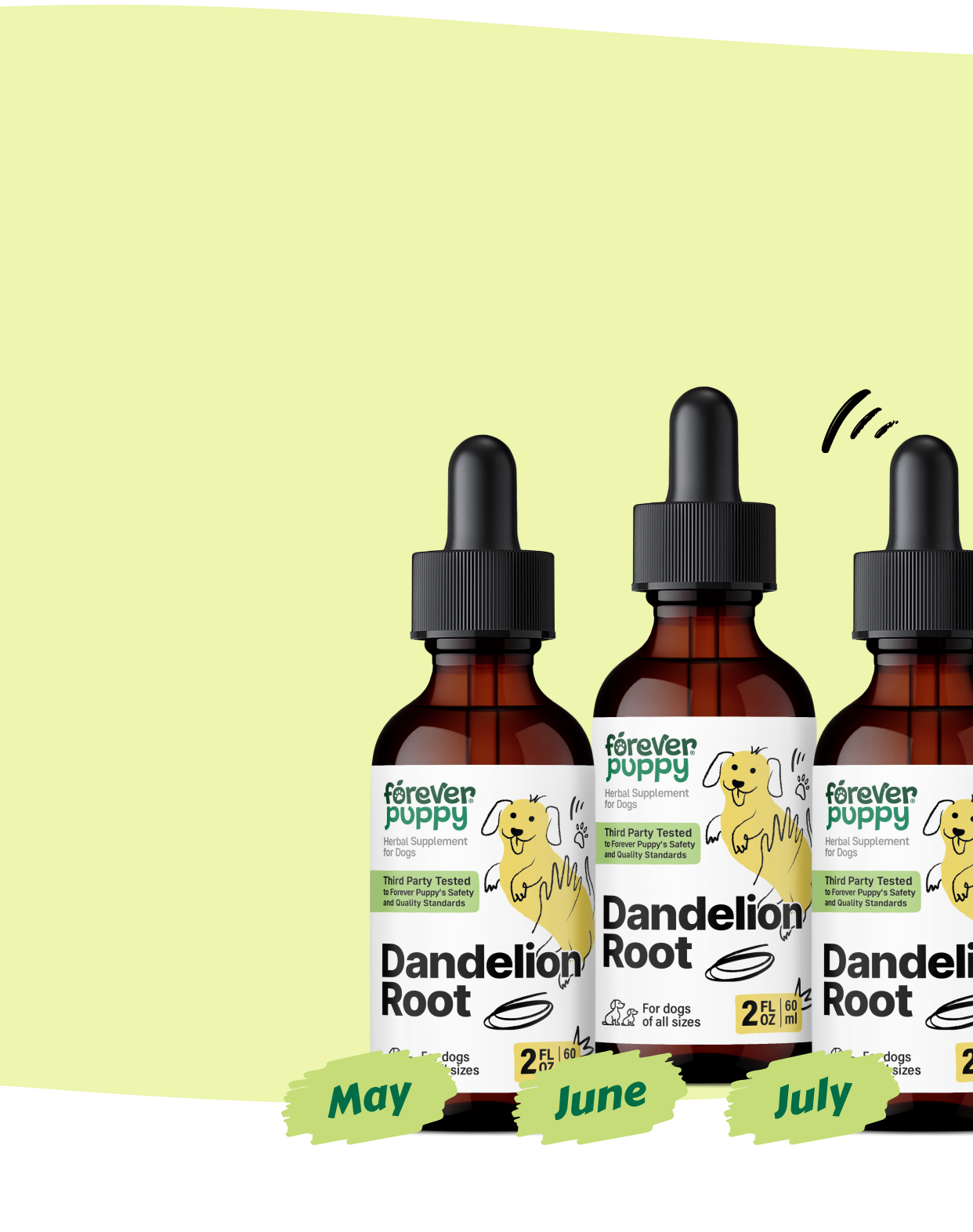 Start a Subscription, Get 15% Off