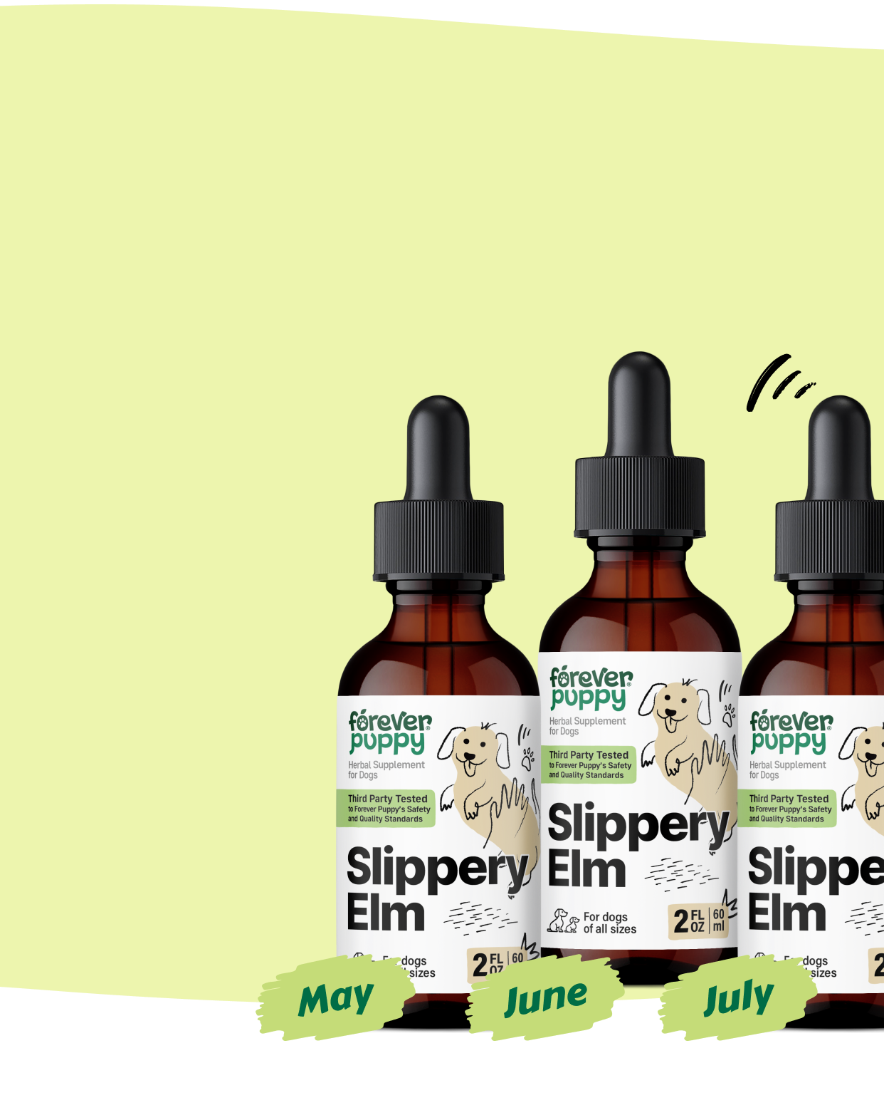 Start a Subscription, Get 15% Off