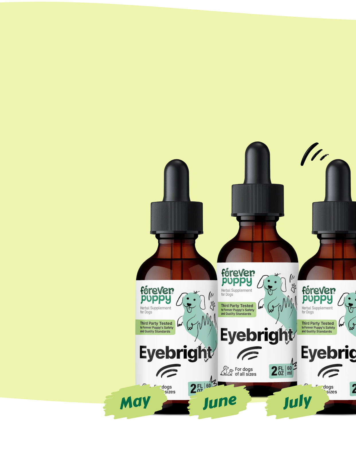 Start a Subscription, Get 15% Off