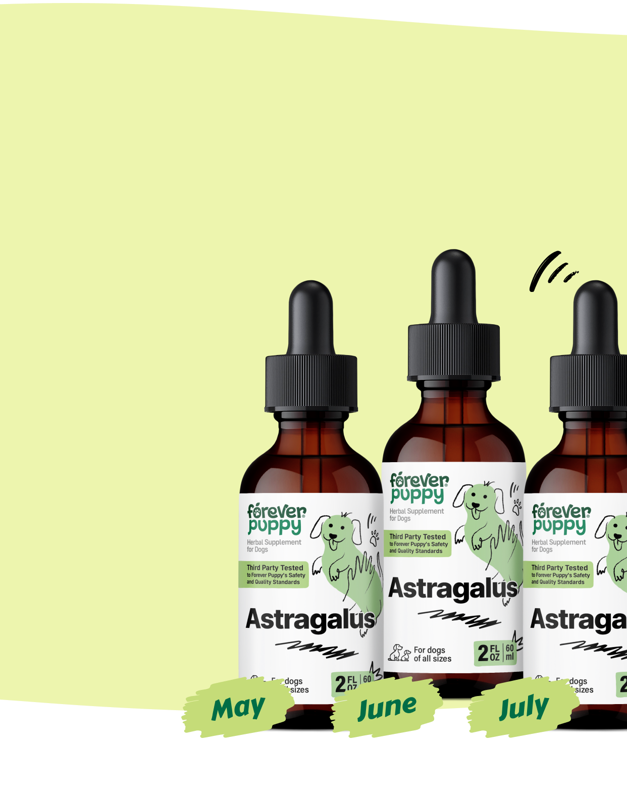 Start a Subscription, Get 15% Off
