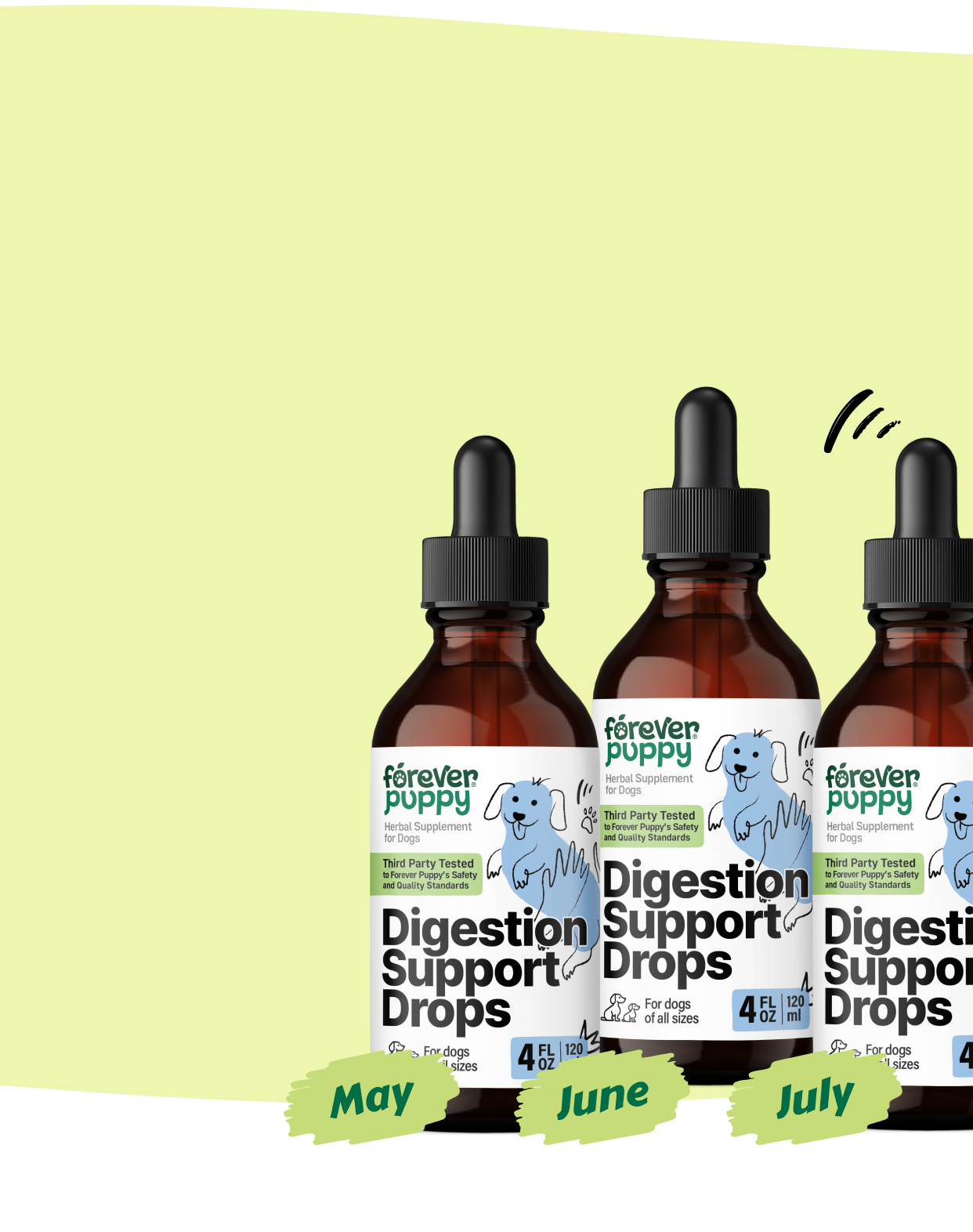 Start a Subscription, Get  15% Off