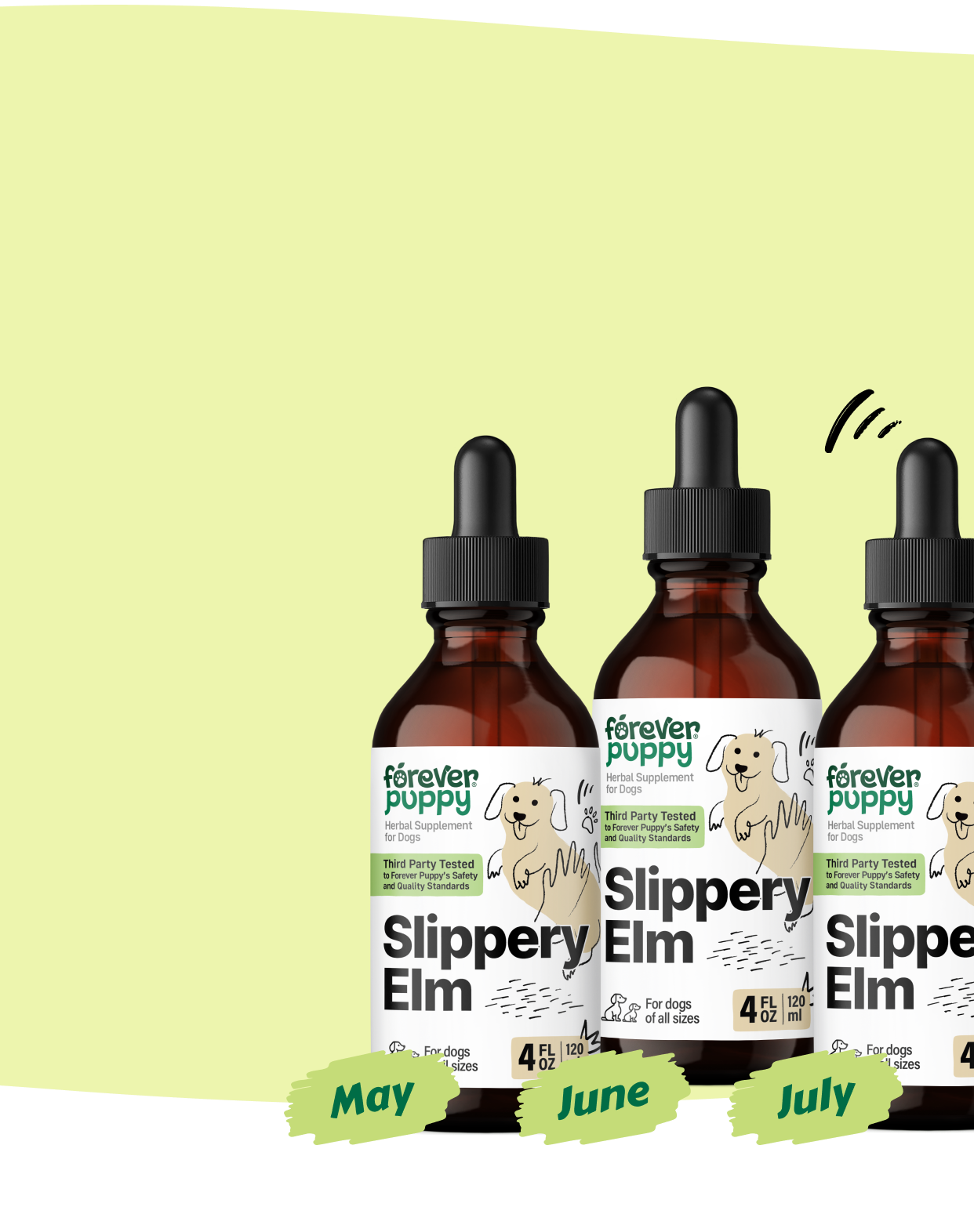 Start a Subscription, Get 15% Off