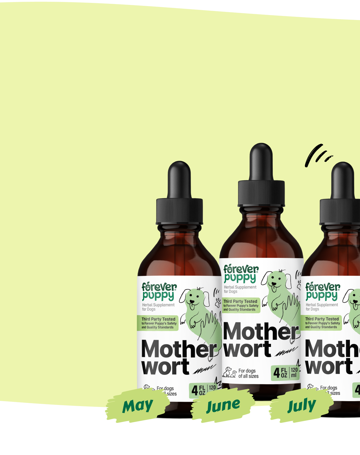 Start a Subscription, Get 15% Off