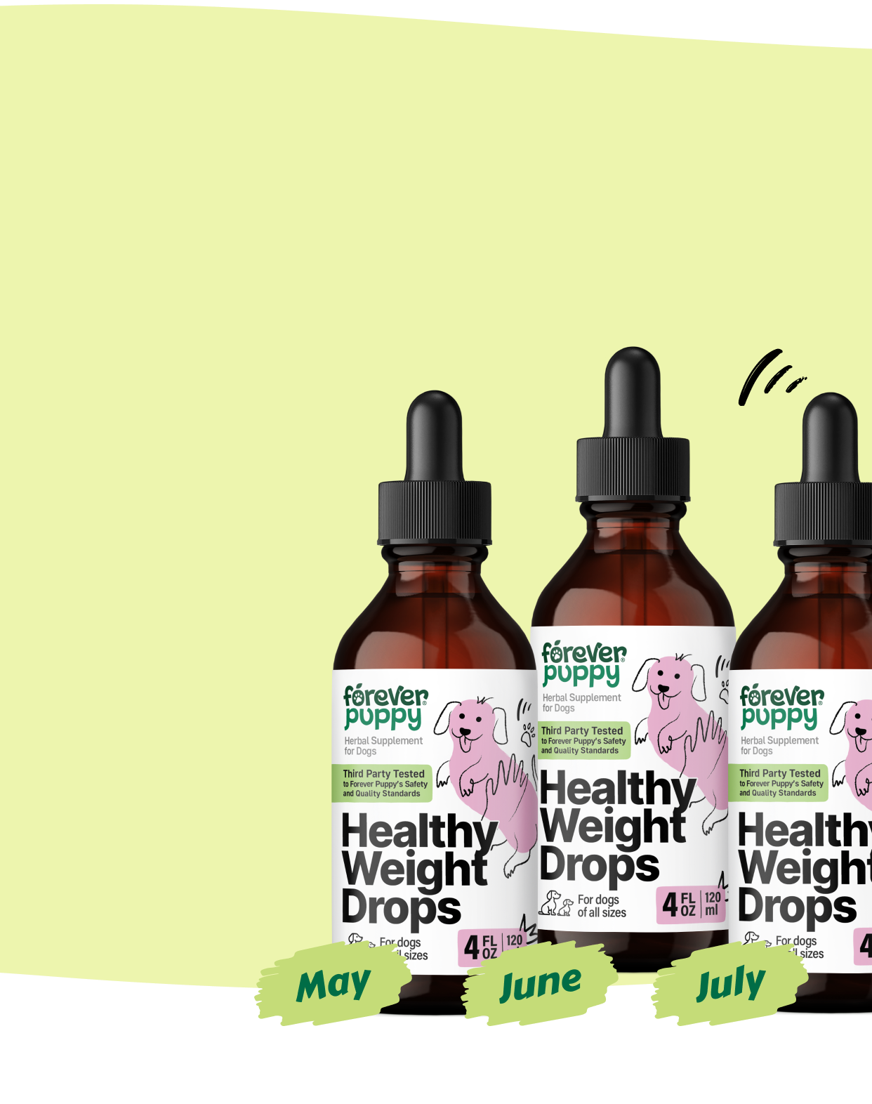 Start a Subscription, Get 15% Off