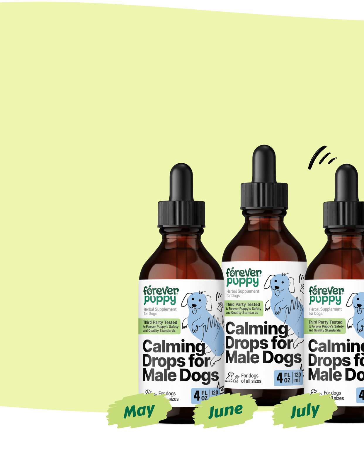 Start a Subscription, Get 15% Off