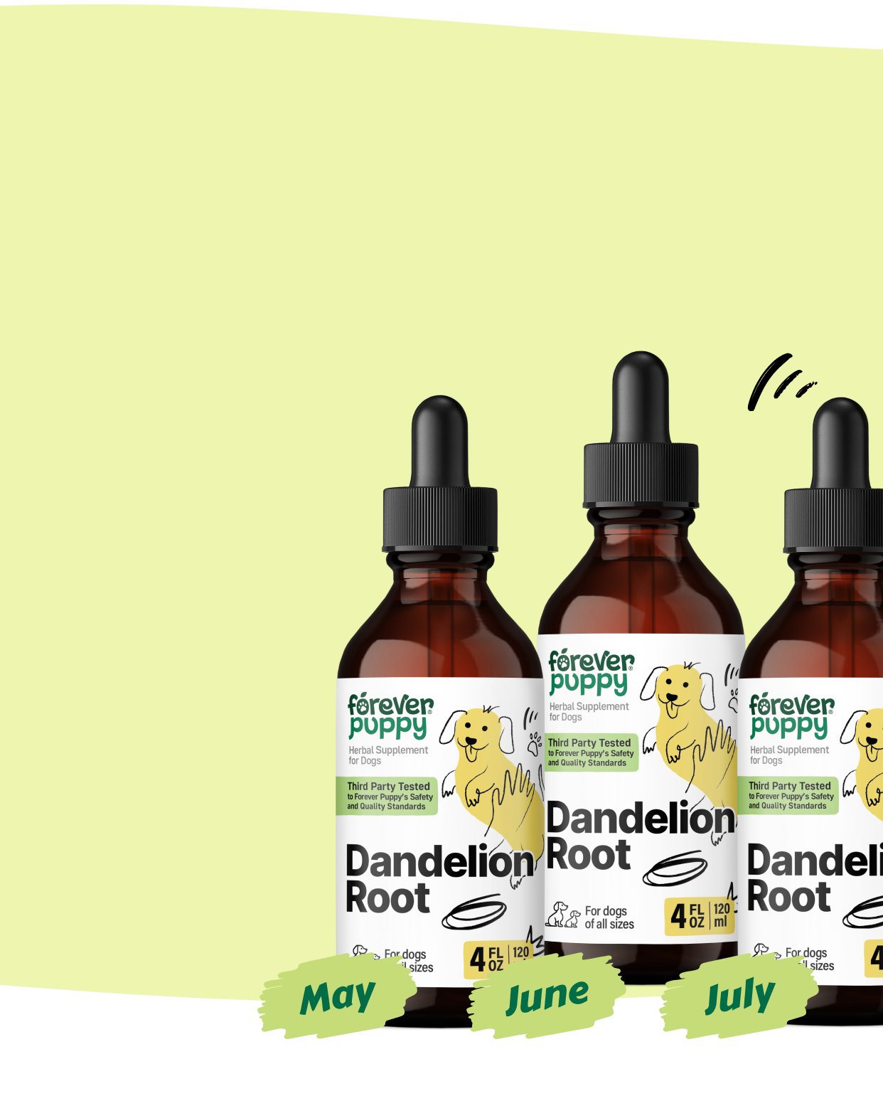 Start a Subscription, Get 15% Off
