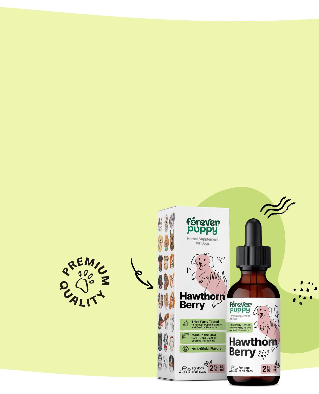 Support your pup's cardiac health