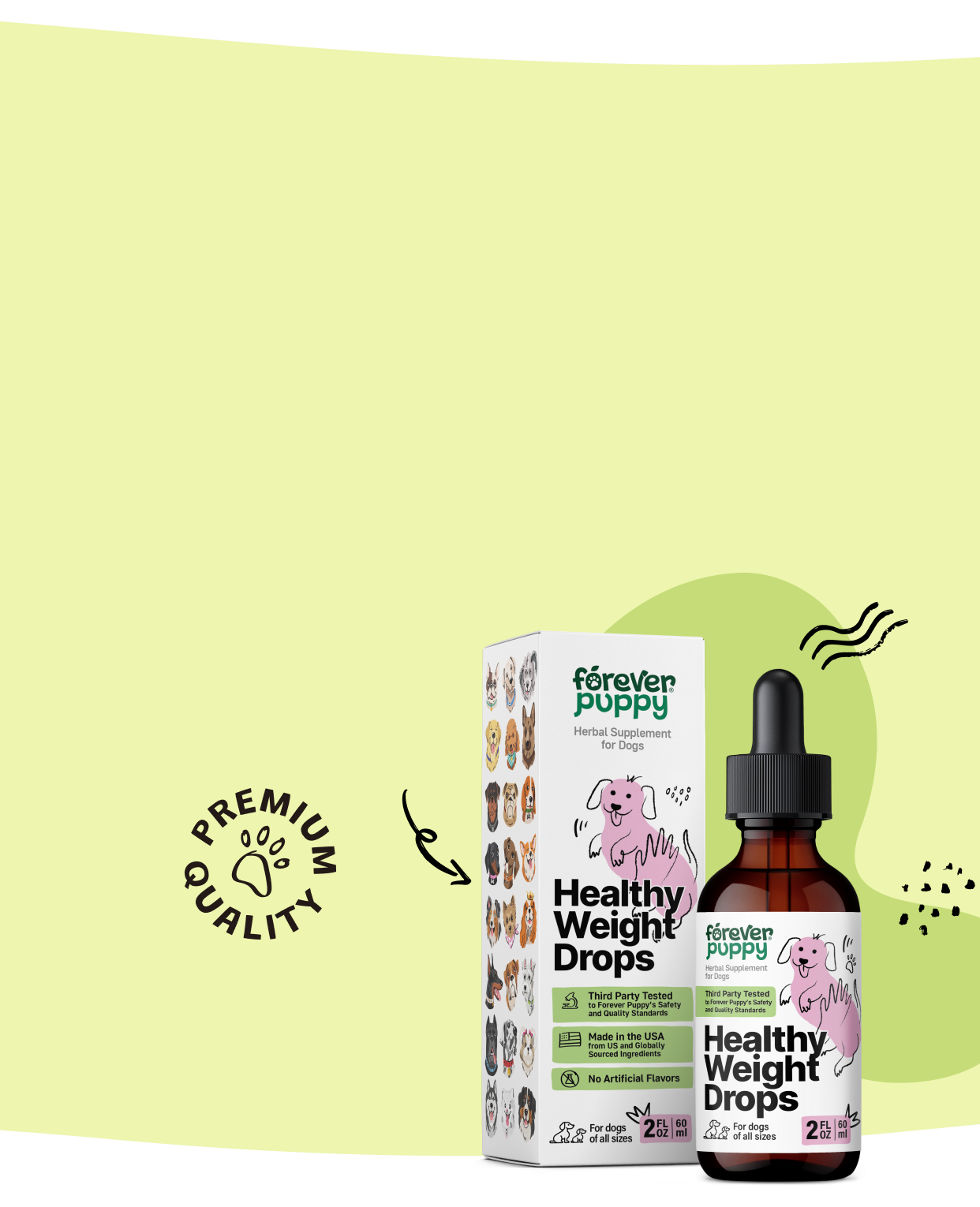Keep your pup fit and healthy
