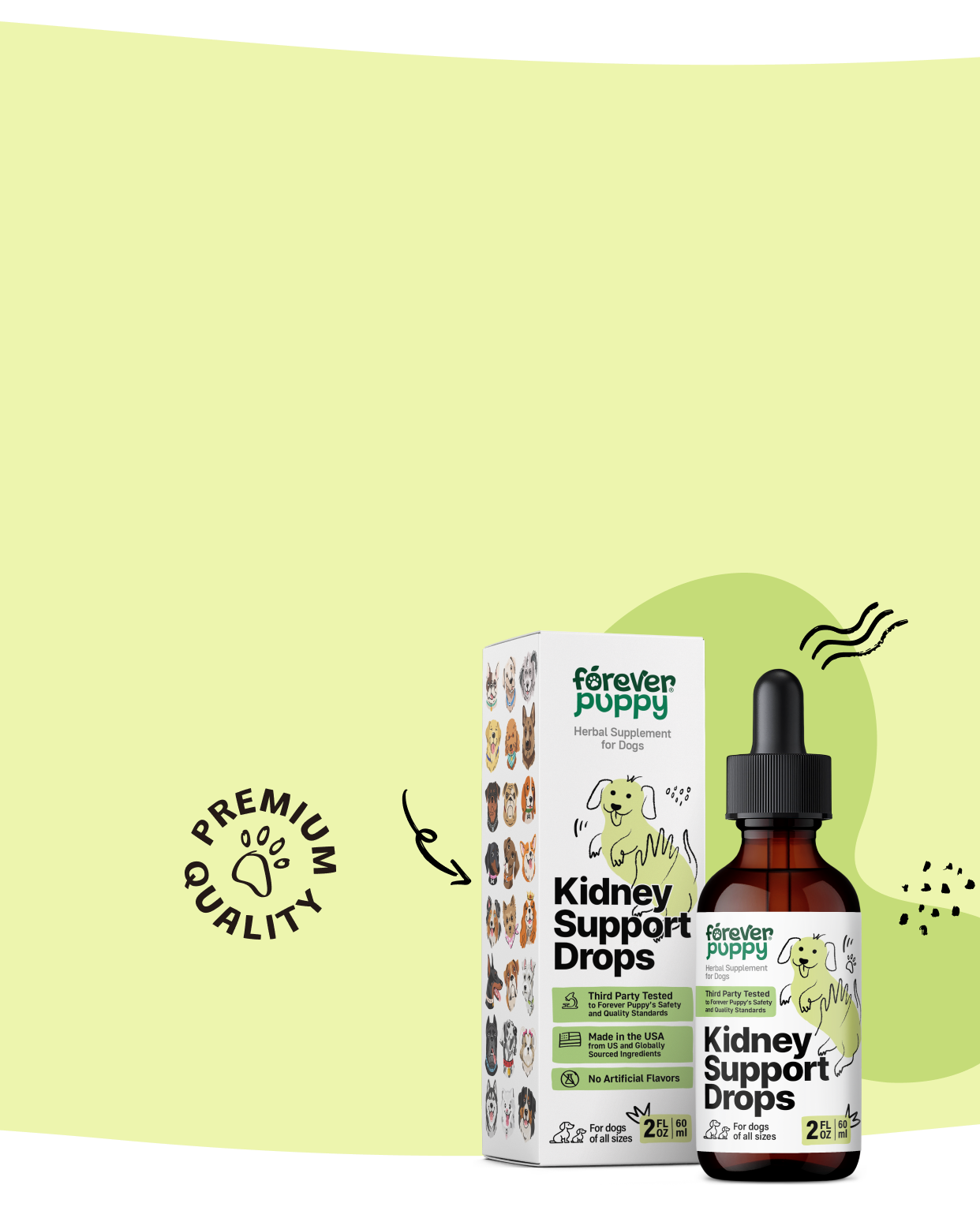 Support your pup’s renal health
