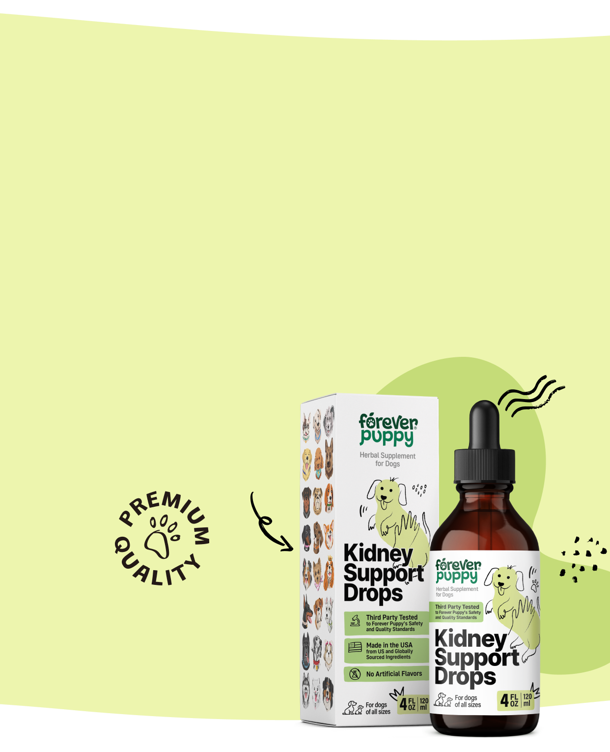Keep your dog’s kidneys healthy