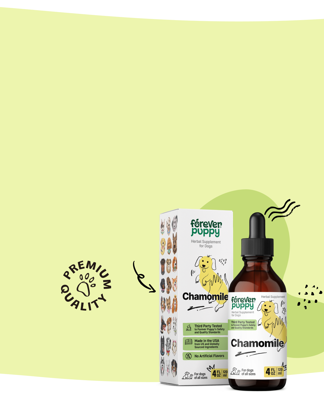 Bring comfort to your dog's belly