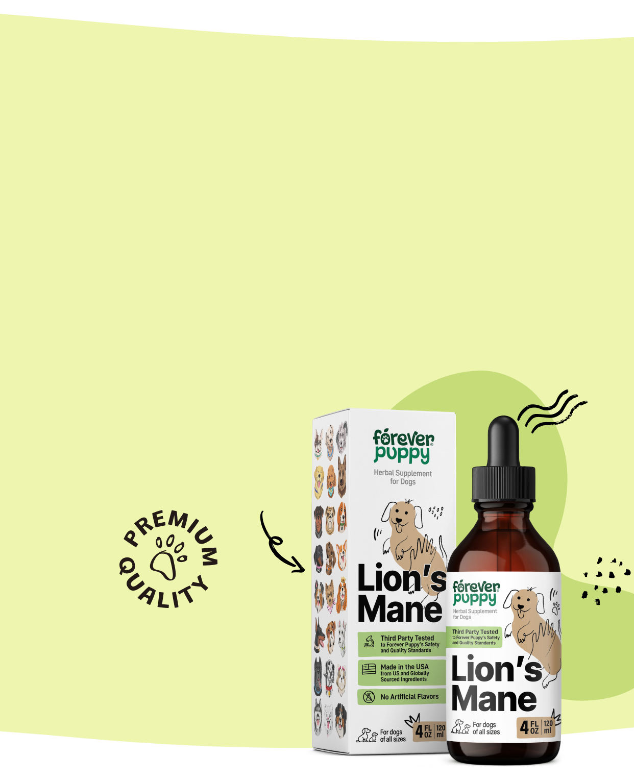 Support your pup's mental clarity
