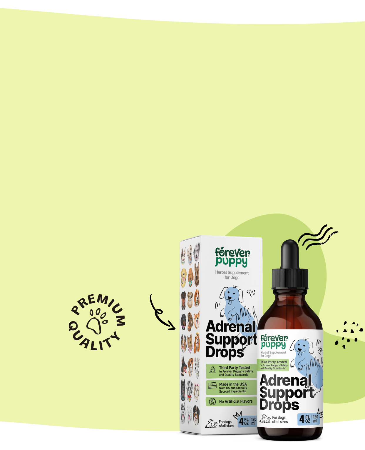 Make your pup happy and energized