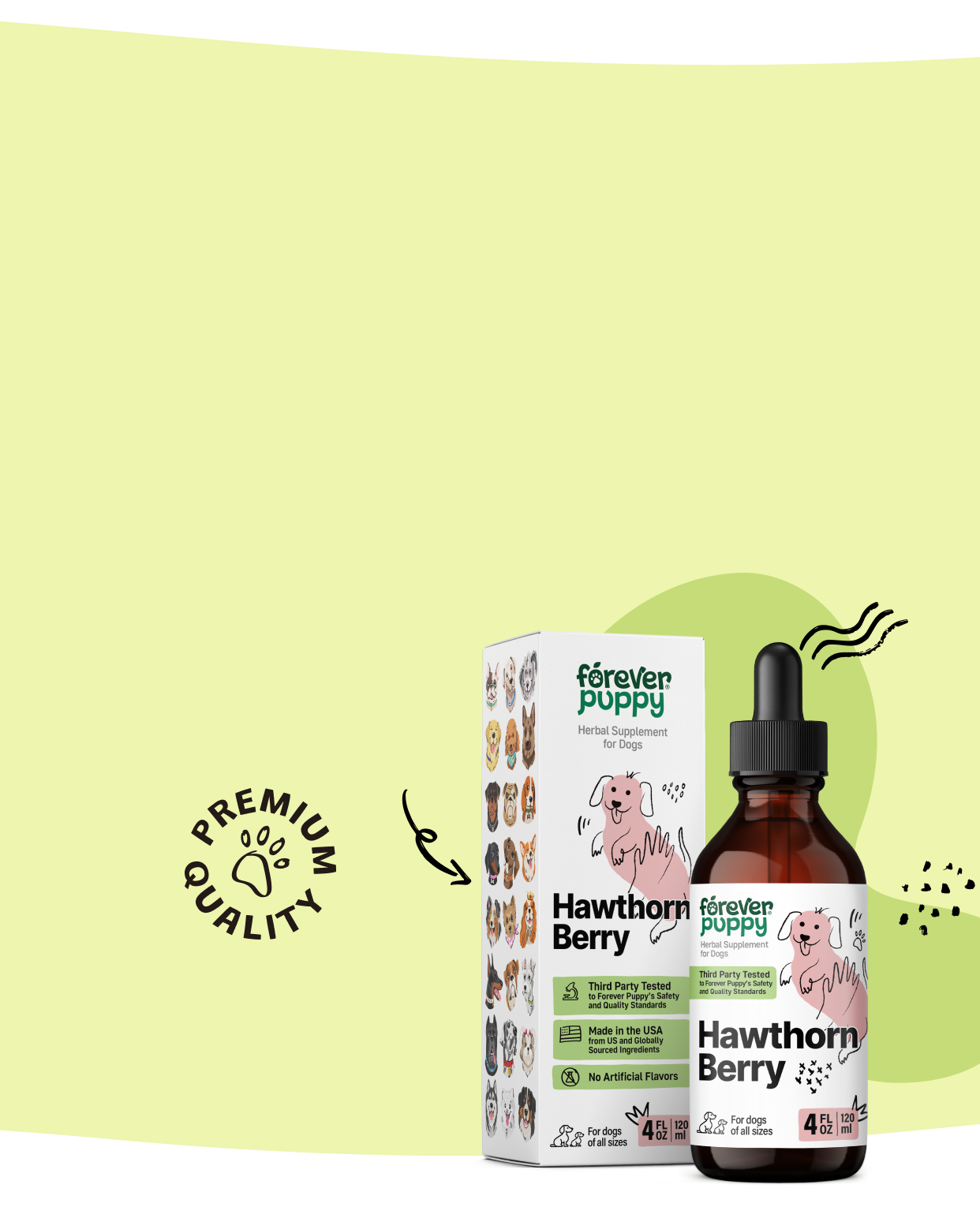 Keep your pup's heart healthy