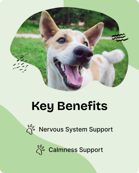 Calming Drops for Female Dogs - 4 fl.oz. Bottle