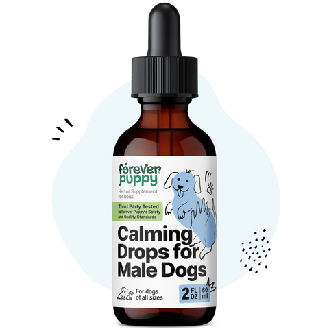 Calming Drops for Male Dogs - 2 fl.oz. Bottle