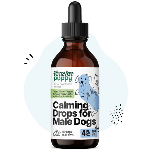 Calming Drops for Male Dogs - 4 fl.oz. Bottle