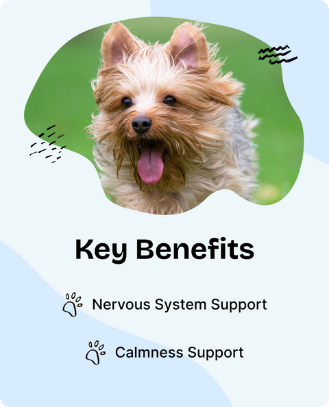 Calming Drops for Male Dogs - 2 fl.oz. Bottle