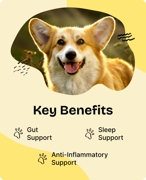 Chamomile Drops for Dogs - 4 fl.oz. Bottle