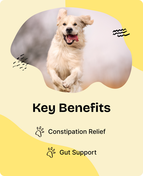 Constipation Relief Drops for Dogs - 2 fl.oz. Bottle
