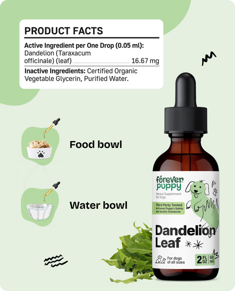 Dandelion Leaf Drops for Dogs - 2 fl.oz. Bottle