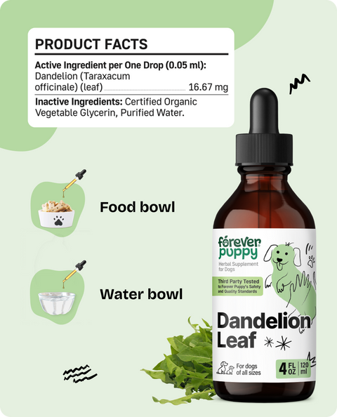 Dandelion Leaf Drops for Dogs - 4 fl.oz. Bottle