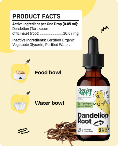 Dandelion Root Drops for Dogs - 2 fl.oz. Bottle