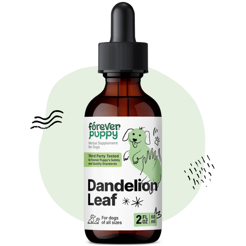 Dandelion Leaf Drops for Dogs - 2 fl.oz. Bottle