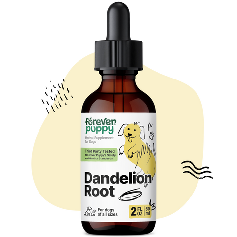 Dandelion Root Drops for Dogs - 2 fl.oz. Bottle