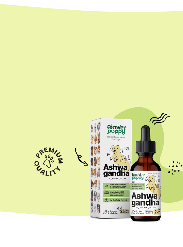 Make your pup happy with soothing drops