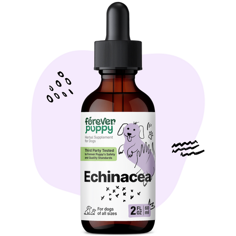 Echinacea Drops for Dogs - 2 fl.oz. Bottle
